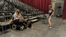 Marla Smith and her service dog Kuno check out Fringe venues for accessibility issues. (Amanda Anderson/CTV News Edmonton)