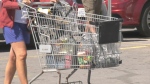 A shopper pushed a grocery cart to a vehicle in Arnprior, Ont. on Thursday. (Dylan Dyson/CTV News Ottawa) 