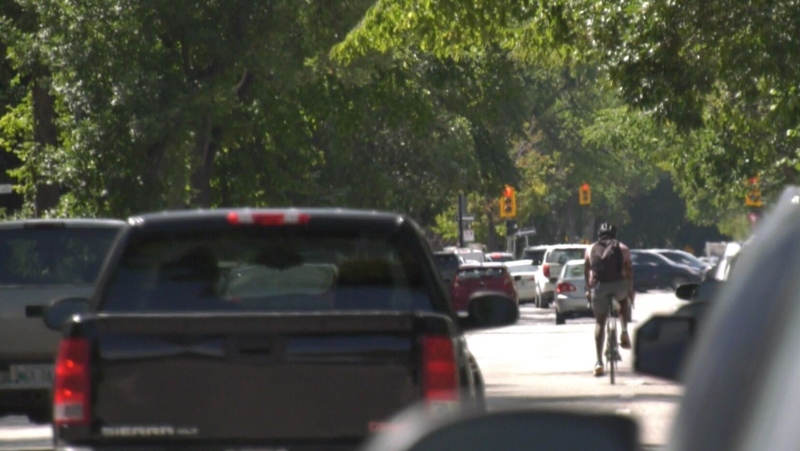 A cyclist navigates traffic on River Ave. on Aug.11, 2022. (Source: Josh Crabb/CTV News)