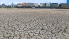 Western Europe deals with the fallout from extreme heat and drought. Pictured here is the dried up Rhine River bed in Germany in August 2018. (Credit: Patrik Stollarz/AFP/AFP via Getty Images)