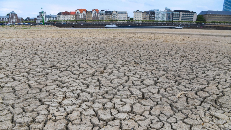 Western Europe deals with the fallout from extreme heat and drought. Pictured here is the dried up Rhine River bed in Germany in August 2018. (Credit: Patrik Stollarz/AFP/AFP via Getty Images)

