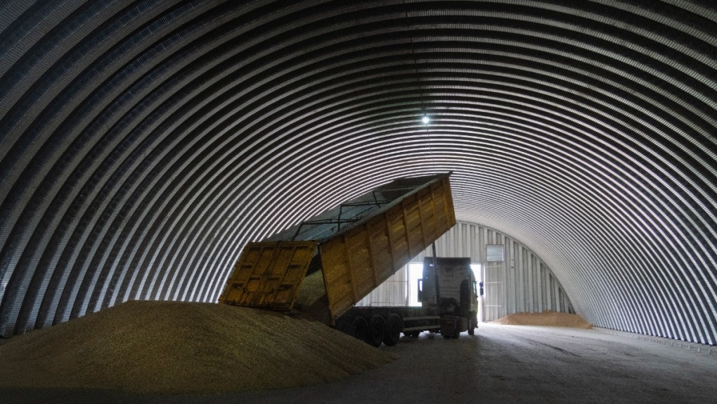 Unloading grain in Zghurivka, Ukraine