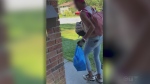 Caught on video: A North Bay mom's encounter with a bold -- and hungry --porch pirate. Aug.11/22 (Source: Devyn Crocker)