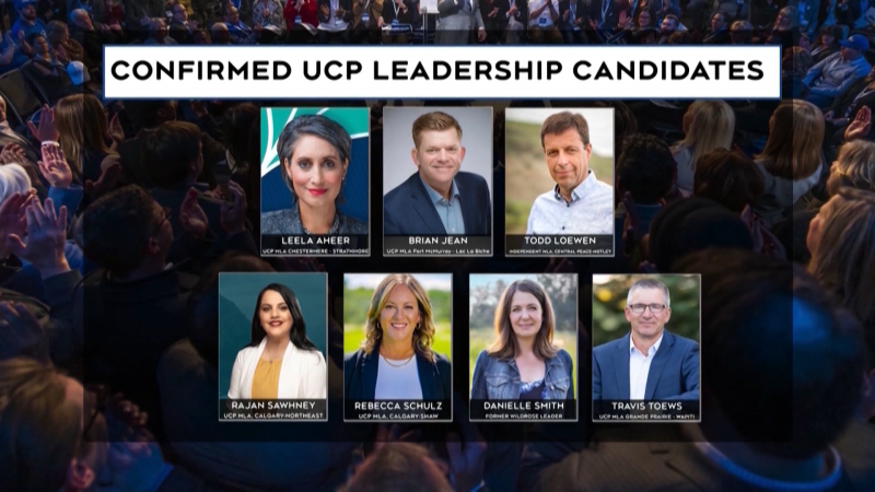 UCP leadership candidates