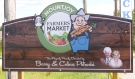 It's national Farmers' Market Week. It runs from Aug. 7-14 and in Timmins, the Mountjoy Farmers Market has much to celebrate. (Lydia Chubak/CTV News)