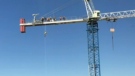 Watch: Crews use crane to train to rappel