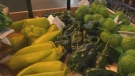 Northwest Calgary gets its own farmer’s market