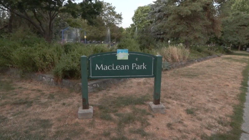 MacLean Park in Vancouver is seen on Friday, Aug. 12, 2022. (CTV)