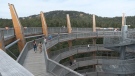 The Malahat Skywalk is hosting a fundraising event Saturday for the Cops for Cancer Tour de Rock (TDR). (CTV)