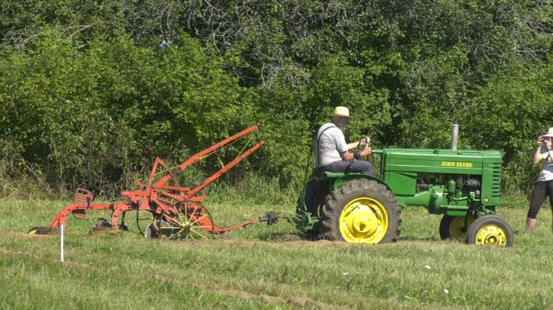 Bill Dobson plowing at the Lanark County Plowing Match on Saturday. (Nate Vandermeer/CTV News Ottawa) 
