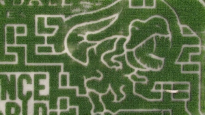 Corn maze with a prehistoric twist