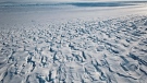 This January 2010 photo provided by Ian Joughin shows the area near the grounding line of the Pine Island Glacier along its west side in Antarctica. (Ian Joughin via AP)