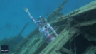 Divers explore shipwreck in 'crystal clear' waters