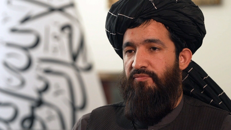 Taliban claims it didn't know al-Qaeda leader was 