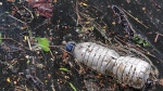 A disposed plastic bottle floats in a river. (Source: PIXABAY/Andrew Martin)
