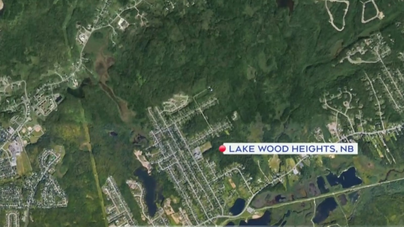 Police in Saint John are working to identify human remains that were found by a hiker in a heavily-wooded area Friday night. 