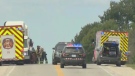 Deadly crash near Palmerston