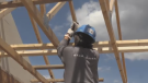 A volunteer with Habitat for Humanity helps build a home. (Tyler Kelaher/CTV News Kitchener)