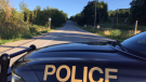 Eight people were sent to hospital after a two-vehicle collision Mon., Aug., 15, 2022 (CTV NEWS)