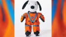 Snoopy will serve as Artemis I's zero gravity indicator. (2021 Peanuts Worldwide LLC/CNN)