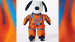 Snoopy will serve as Artemis I's zero gravity indicator. (2021 Peanuts Worldwide LLC/CNN)