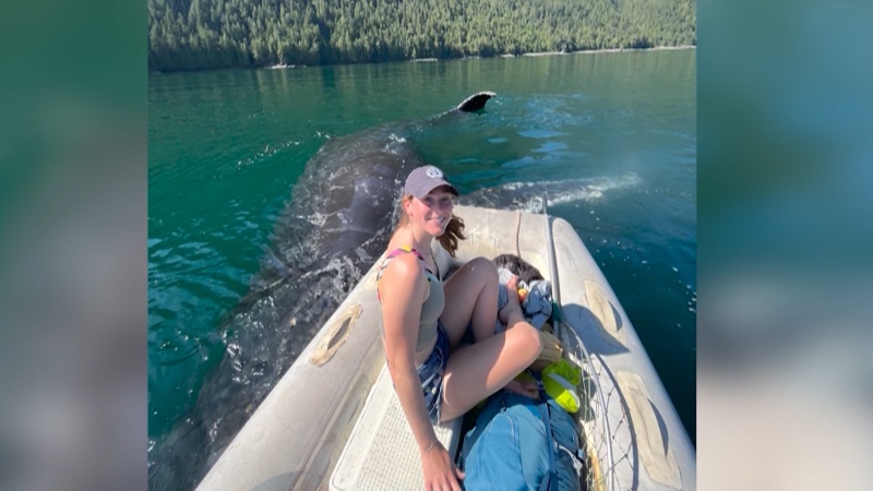 Wild whale encounter lasts two hours