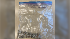 Plastic bag containing magic mushrooms found by an employee in Potholes Provincial Park in Chapleau, Ont., inside a geocache. (Ontario Provincial Police)