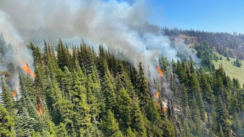 Planned ignition near the Keremeos Creek wildfire conducted on Aug. 17, 2022. (B.C. Wildfire Service/Twitter)