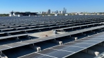 Solar panels on the roof of the Edmonton EXPO Centre. (Joe Scarpelli/CTV News Edmonton)