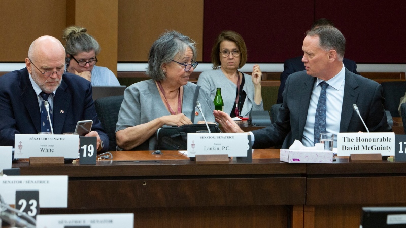 Senator Vern White, left to right, Senator Frances Lankin, David McGunity, chair of the National Security and Intelligence Committee of Parliamentarians,  appear before the Senate National Security Committee in Ottawa on Monday June 10, 2019. THE CANADIAN PRESS/Fred Chartrand
