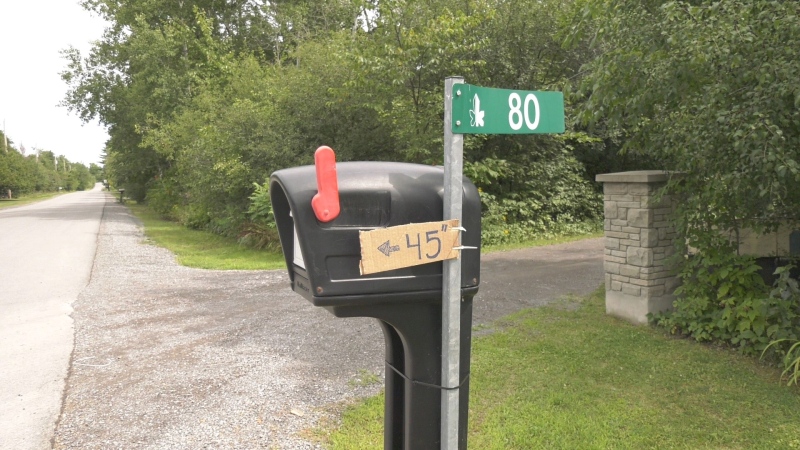 Canada Post says it stopped mail delivery on Constance Lake Road near Dunrobin, Ont. because the mailboxes are too short. (Dylan Dyson/CTV News Ottawa)
