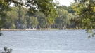 Lake Simcoe in Ramara Township, Ont., near Bonnie Beach on Thurs., Aug. 18, 2022 (CTV News/Steve Mansbridge)