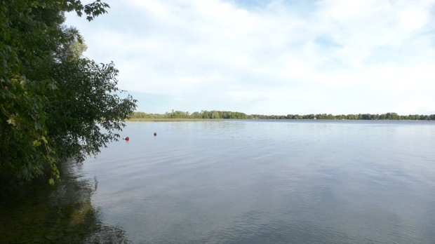 Lake Simcoe in Ramara Township, Ont., near Bonnie Beach on Thurs., Aug. 18, 2022 (CTV News/Steve Mansbridge) 