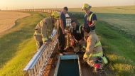 Regina fire crews work to rescue an injured person from a rail car on Aug. 18, 2022. (Source: Regina Fire)