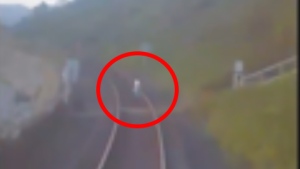 WATCH: Man narrowly avoids being hit by train