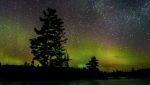 The aurora borealis, or northern lights, make a rare appearance over central Ontario north of Hwy 36 in Kawartha Lakes, Ont., in this 2021 file photo. THE CANADIAN PRESS/Fred Thornhill