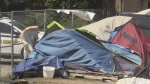 Council approves fully-sanctioned encampment site