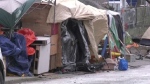 The encampment at Victoria and Weber Streets in Kitchener. (Aug. 19, 2022)
