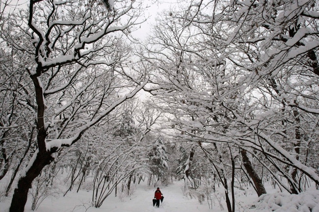 South Korean visitors walk through a heavy snow at the Chongmyo Park in Seoul, South Korea, Monday, Jan. 4, 2010. (AP / Ahn Young-joon)