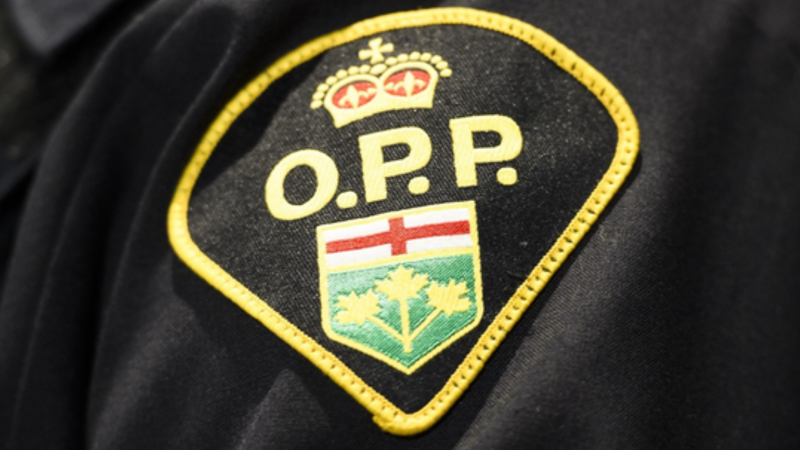 Ontario Provincial Police badge file image.