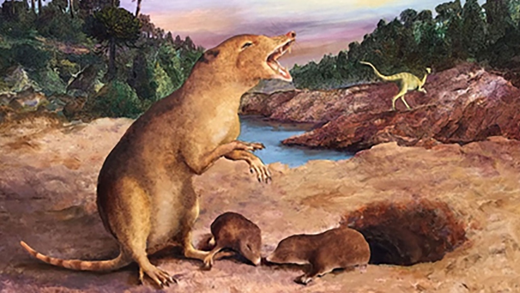 225 million-year-old mammal