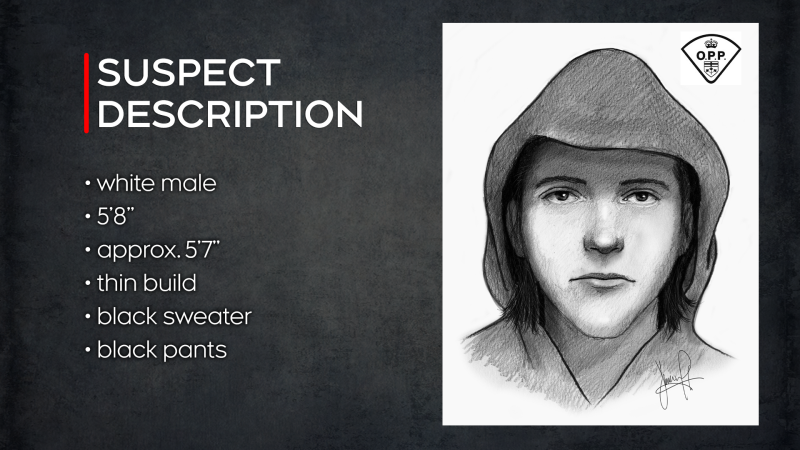 OPP have released a composite sketch of a suspect in a sexual assault investigation in Lakeshore, Ont. (Courtesy: Lakeshore OPP)