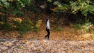 A woman walks amongst fallen leaves on Mount Royal on a mild fall day in Montreal. (THE CANADIAN PRESS/Graham Hughes)