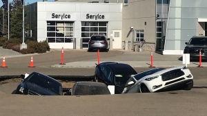 A number of vehicles were stuck at an Infiniti dealership in Edmonton on Tuesday, Sept. 20, 2022. (Evan Klippenstein/CTV News Edmonton)