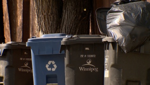 Gilroy said a building in her ward didn't have a garbage bin at all, leading to a pile-up of trash and excessive litter. (Source: CTV News Winnipeg)