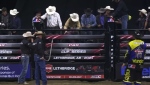 Pro bull riding takes over the ENMAX Centre this weekend in Lethbridge. Quinn Keenan reports.
