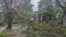 Video shows Hurricane Fiona destruction
