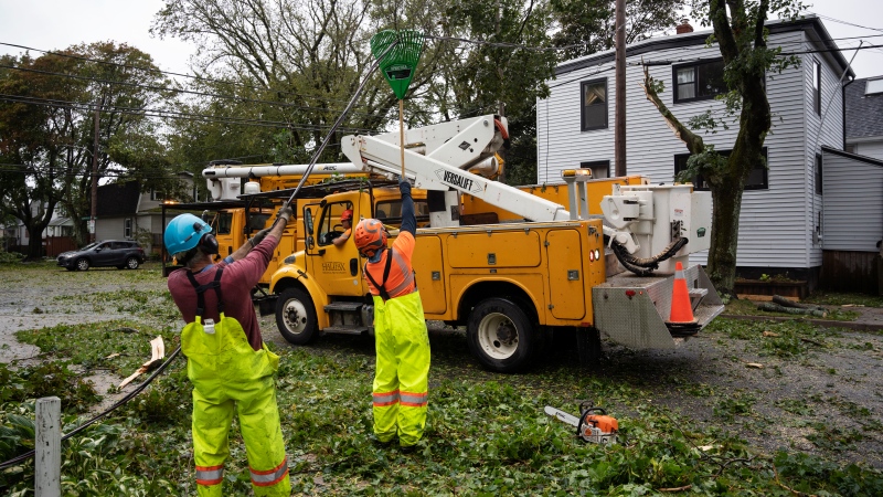 Arborists use a rake to lift a downed wire to allow machinery to access fallen trees caused by post tropical storm Fiona in Halifax on Saturday, September 24, 2022. (Source: THE CANADIAN PRESS/Darren Calabrese)