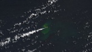 The tiny island appeared in central Tongo after an underwater volcano erupted earlier this month. (Lauren Dauphin/NASA Earth Observatory/CNN)
