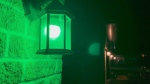 Residents in Arnprior, Ont. will light up their homes with green on Sept. 24 to mark Mitochondrial Disease Awareness Week. (Dylan Dyson/CTV News Ottawa) 
